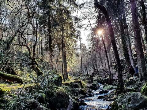 budandhedonism header picture leakfans.com