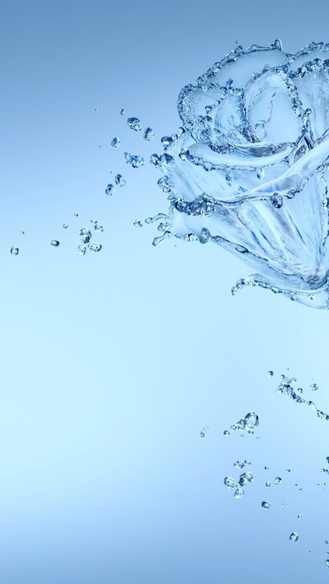 bull_crixus header picture leakfans.com