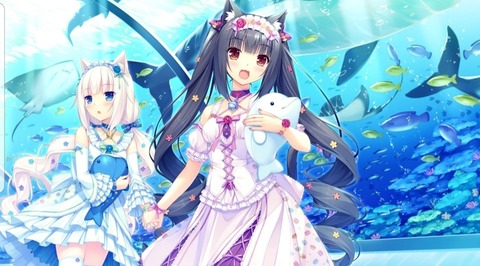 bunniicat header picture leakfans.com