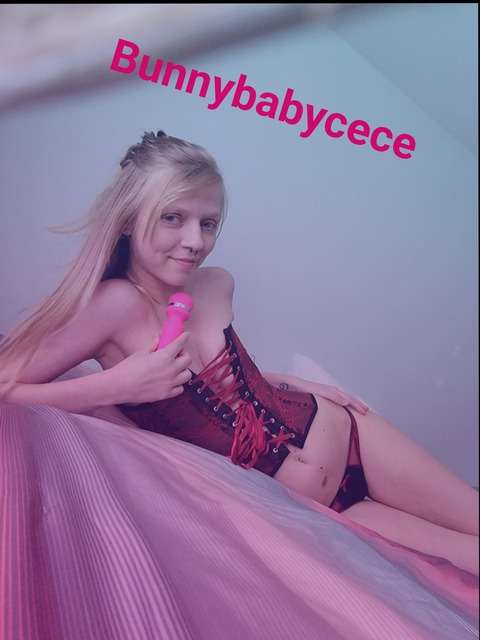 Header of bunnybabycece