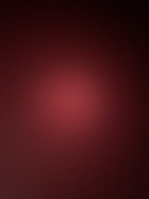 bunshoney header picture leakfans.com