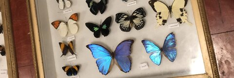 caleigh1314 header picture leakfans.com