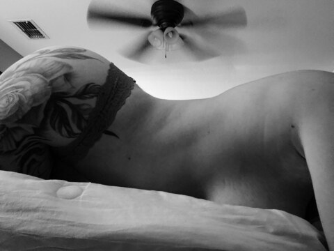 calixooxo header picture leakfans.com