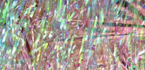 callie_fox header picture leakfans.com