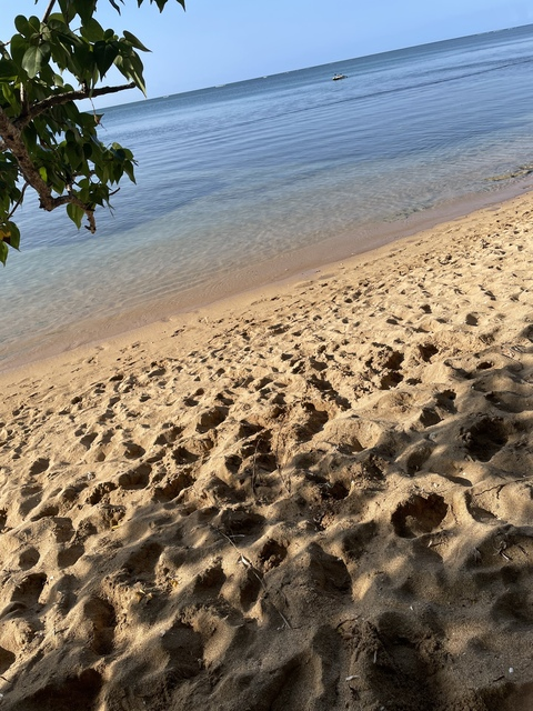 callmemami1 header picture leakfans.com