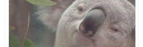 camilapereyra header picture leakfans.com