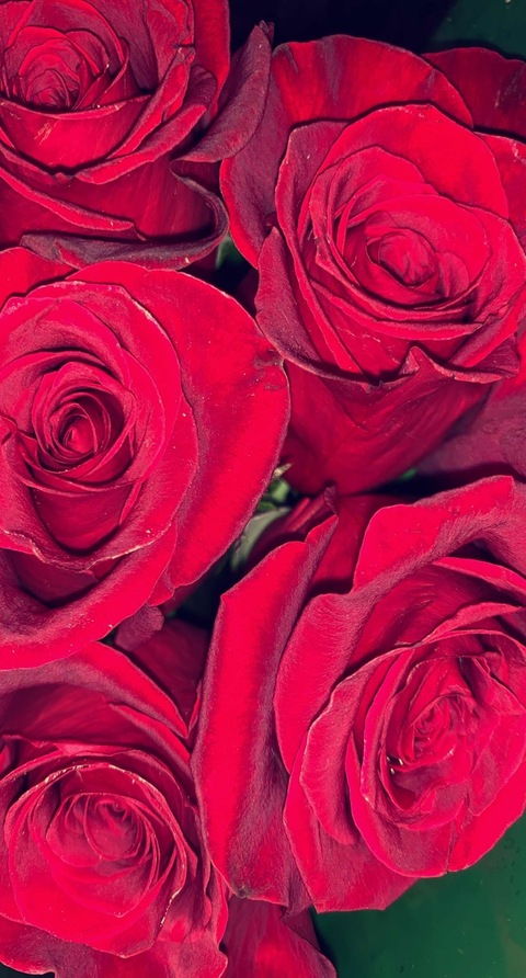 candycane999 header picture leakfans.com