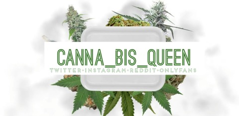 Header of canna_bis_queen