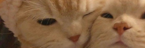 cantjinx header picture leakfans.com