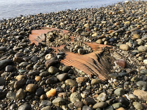 caramelmechanic85 header picture leakfans.com