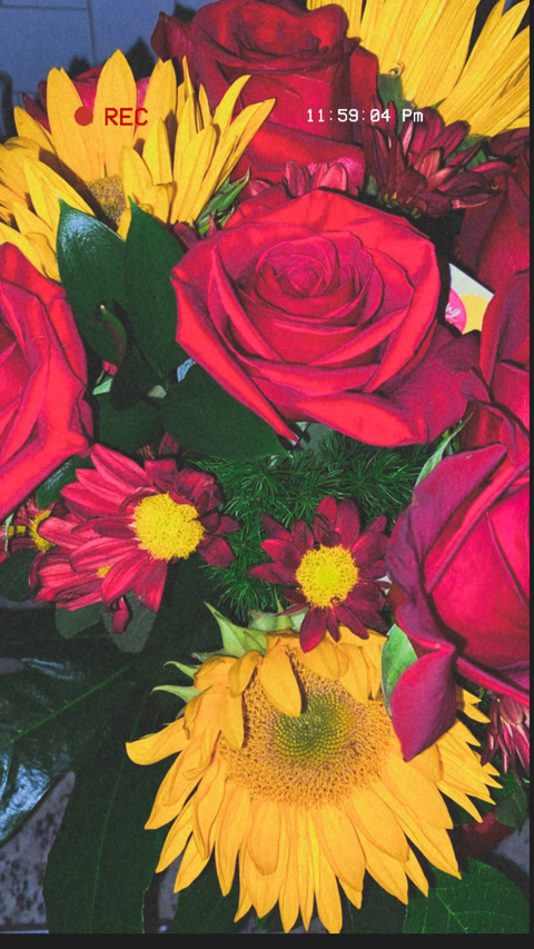 caribbean_gyal69 header picture leakfans.com