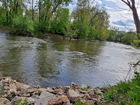 carlikitten header picture leakfans.com