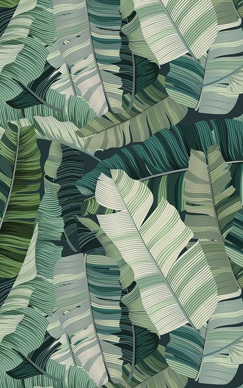 carlygrace header picture leakfans.com