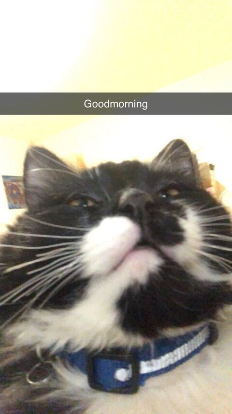 carmengrey header picture leakfans.com