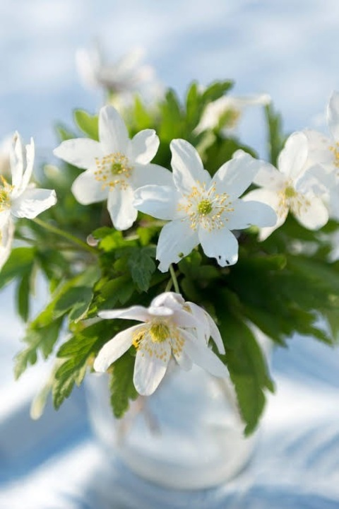 carmensmith header picture leakfans.com