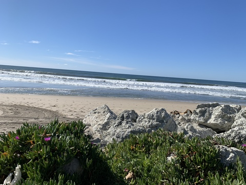 carmenssandiegoo header picture leakfans.com