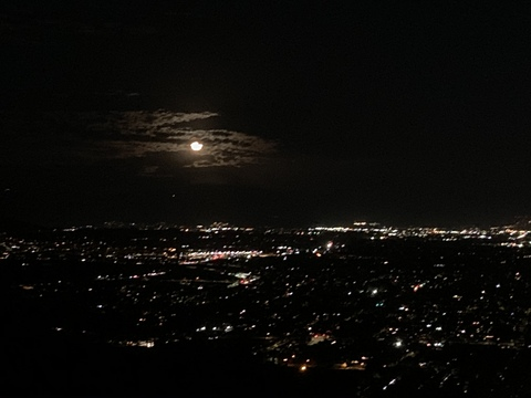 carrotbunny header picture leakfans.com