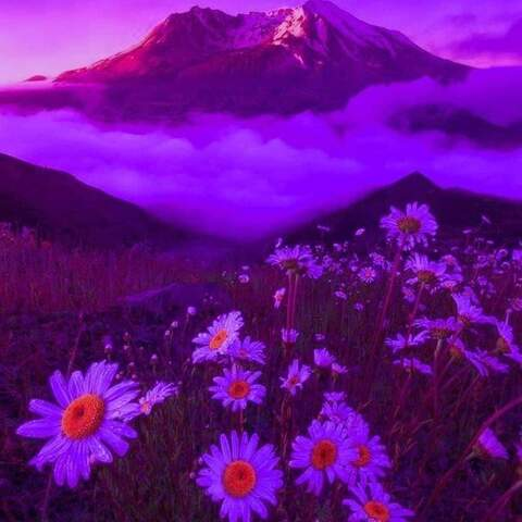 castleoftrash header picture leakfans.com