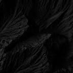 cat_damage profile picture leakfans.com