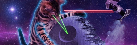 catlovestacos header picture leakfans.com