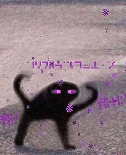 cattymatty header picture leakfans.com