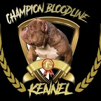 cbkennells profile picture