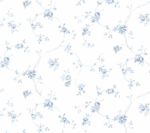 ccolosall header picture leakfans.com