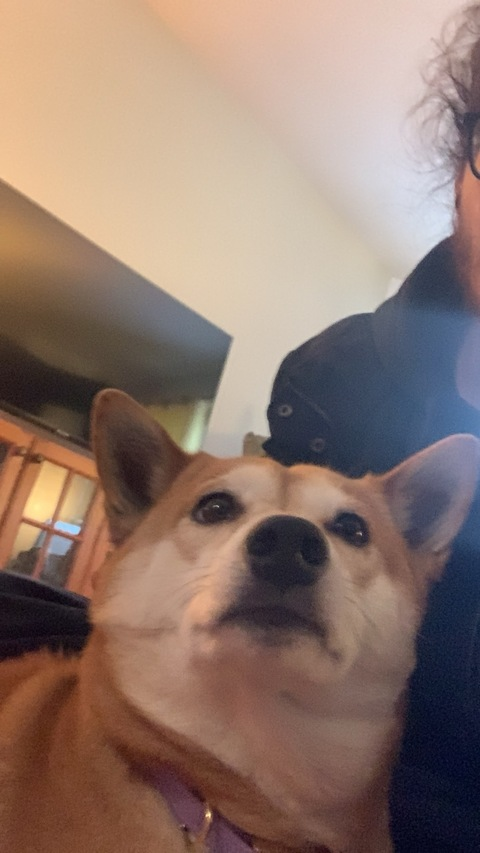 cedricos666 header picture leakfans.com