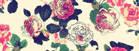 celliebee header picture leakfans.com