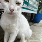 cemyildiz profile picture leakfans.com