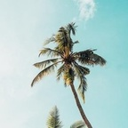 cgfl99 profile picture leakfans.com