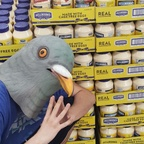 chadpigeoncock profile picture leakfans.com