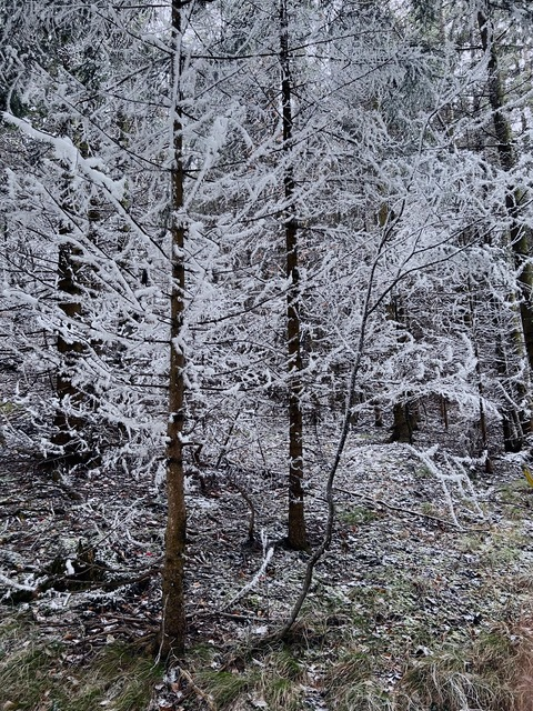 chan7al header picture leakfans.com