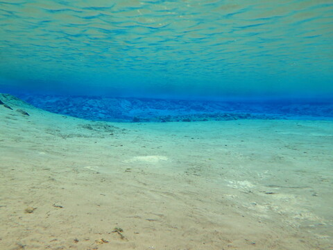 chansen86 header picture leakfans.com