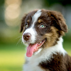 cheat profile picture leakfans.com