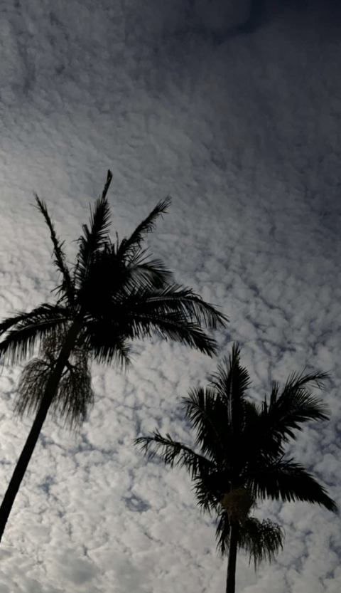 cheekyshitfortgememe header picture leakfans.com