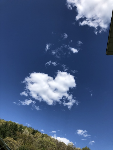 chelli header picture leakfans.com