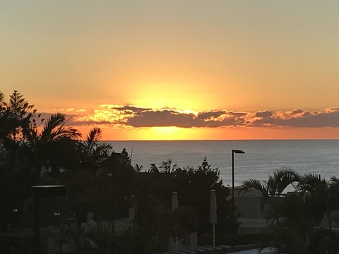 cherry-of header picture leakfans.com