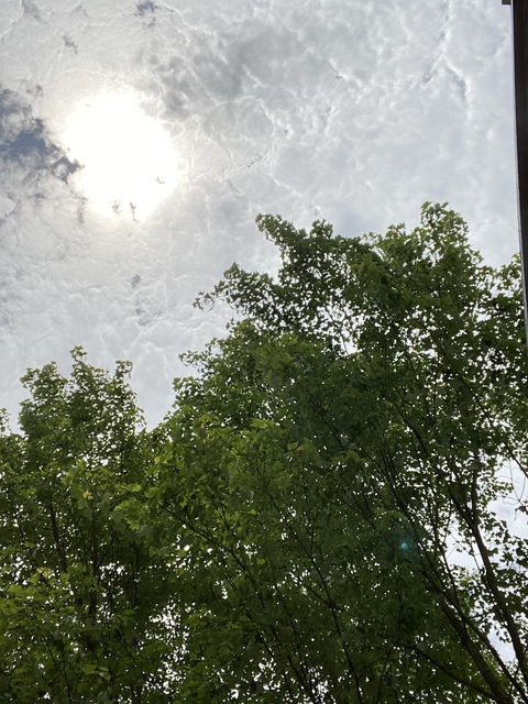 cheyenne1717 header picture leakfans.com