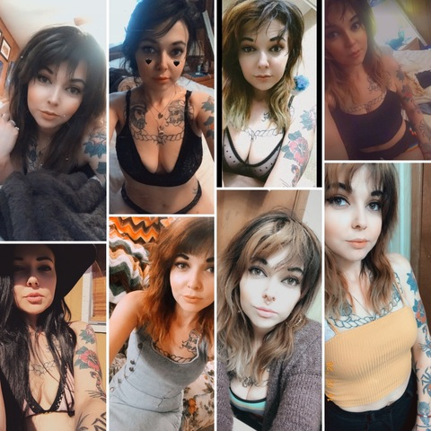 Header of cheyennepeppr