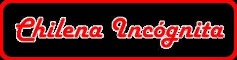 chilenaincognita header picture leakfans.com
