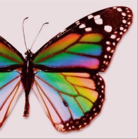 chocolatehighh__ header picture leakfans.com