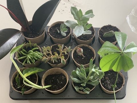 christinecrimson header picture leakfans.com