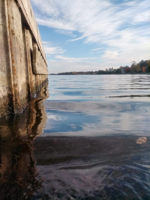 chronicallyrabid header picture leakfans.com