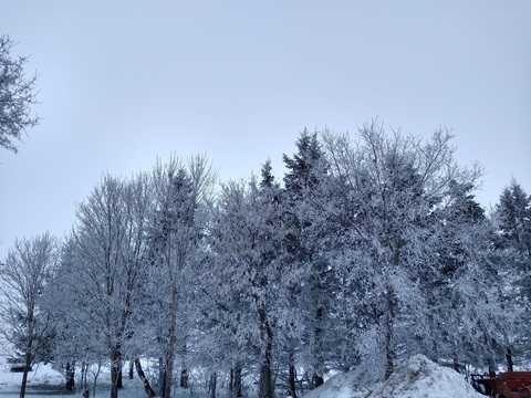 cillababees header picture leakfans.com