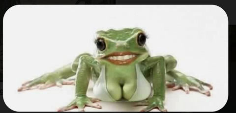 cincodemama header picture leakfans.com