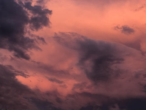 cinnabonchels55 header picture leakfans.com