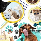 cintiabello profile picture