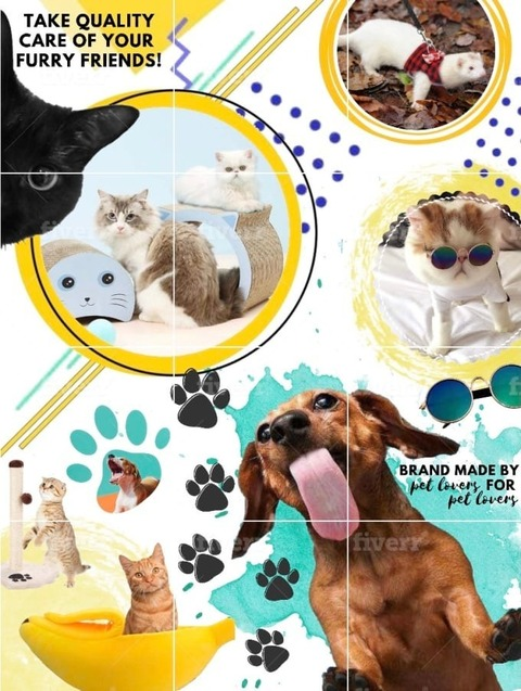 Header of cintiabello