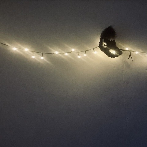 cladonia header picture leakfans.com